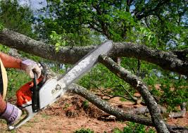 Best Soil Testing and Treatment  in Clovis, NM
